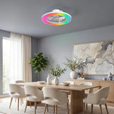 Ventilateur de plafond silencieux Lumora 50 cm avec lumière LED et éclairage d'ambiance RGB