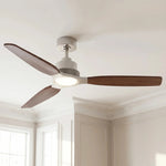 Ventilateur de plafond Louise en nickel brossé/noir noyer Ø142 cm avec pales en bois massif 100 %
