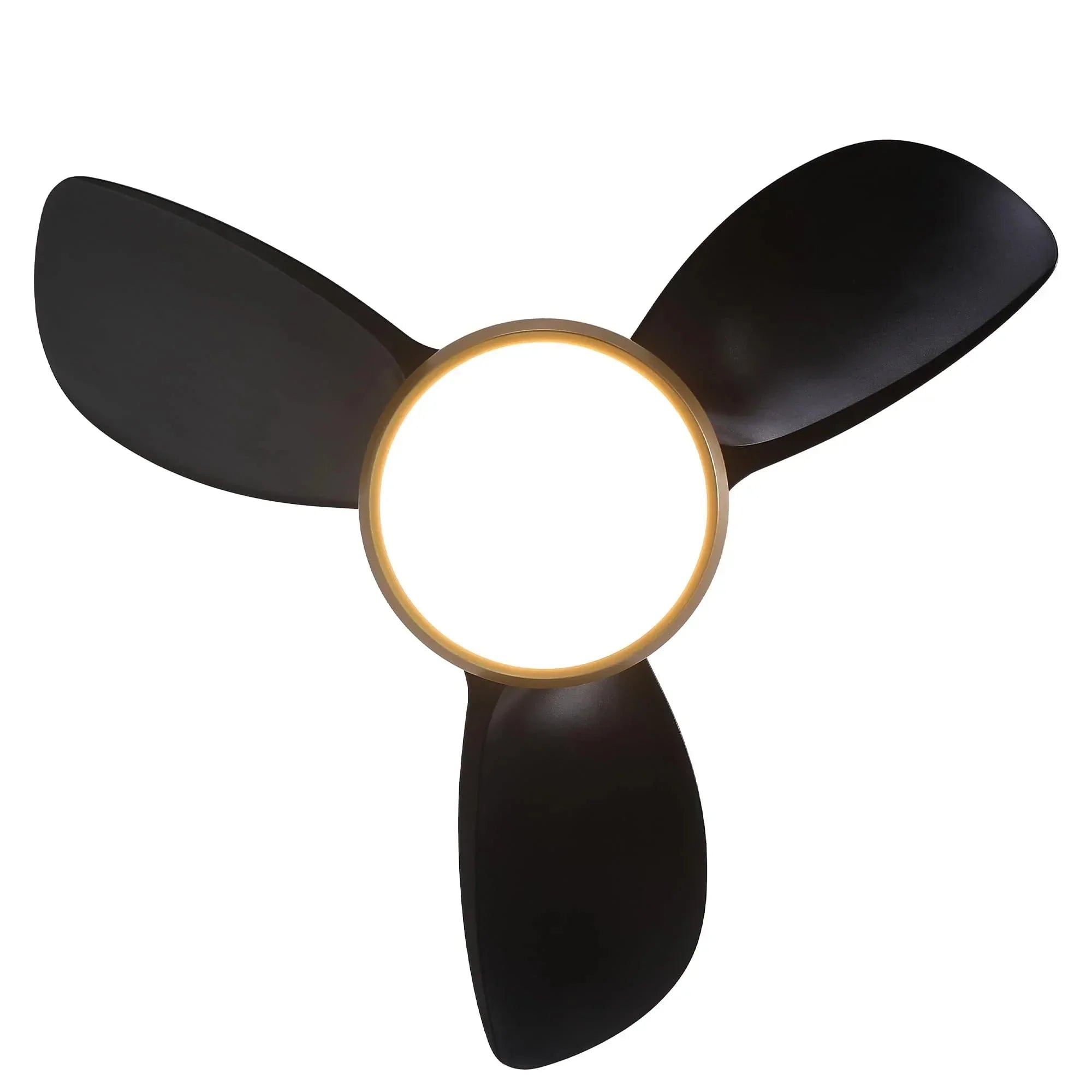 Ventilateur de plafond silencieux Colla Ø76 cm avec éclairage LED